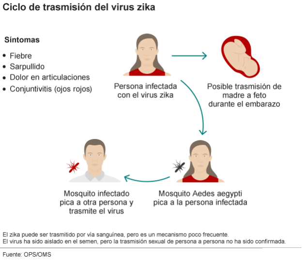 Ciclo de transmision del virus Zika