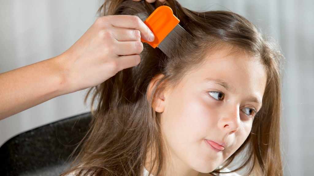 little-girl-being-checked-for-lice-16-x-9