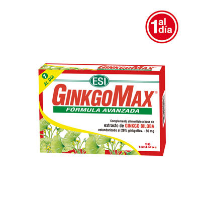 Ginkgomax Memory